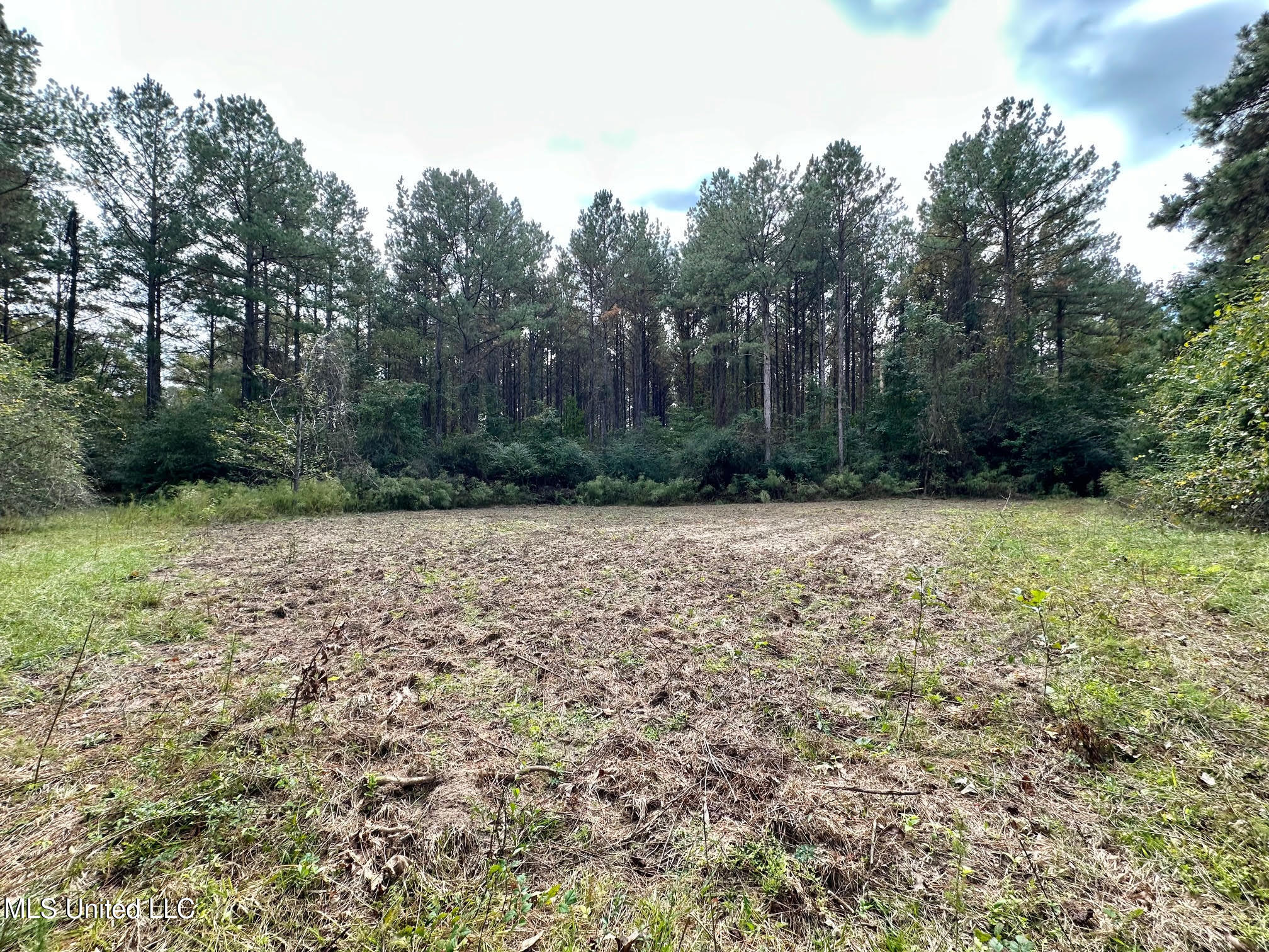 0 County Road 472 Pinola, MS 39149 - Photo 50 of 94 49