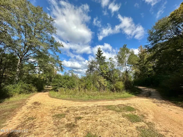 $1,501,000 | 0 County Road 472, Pinola, MS 39149