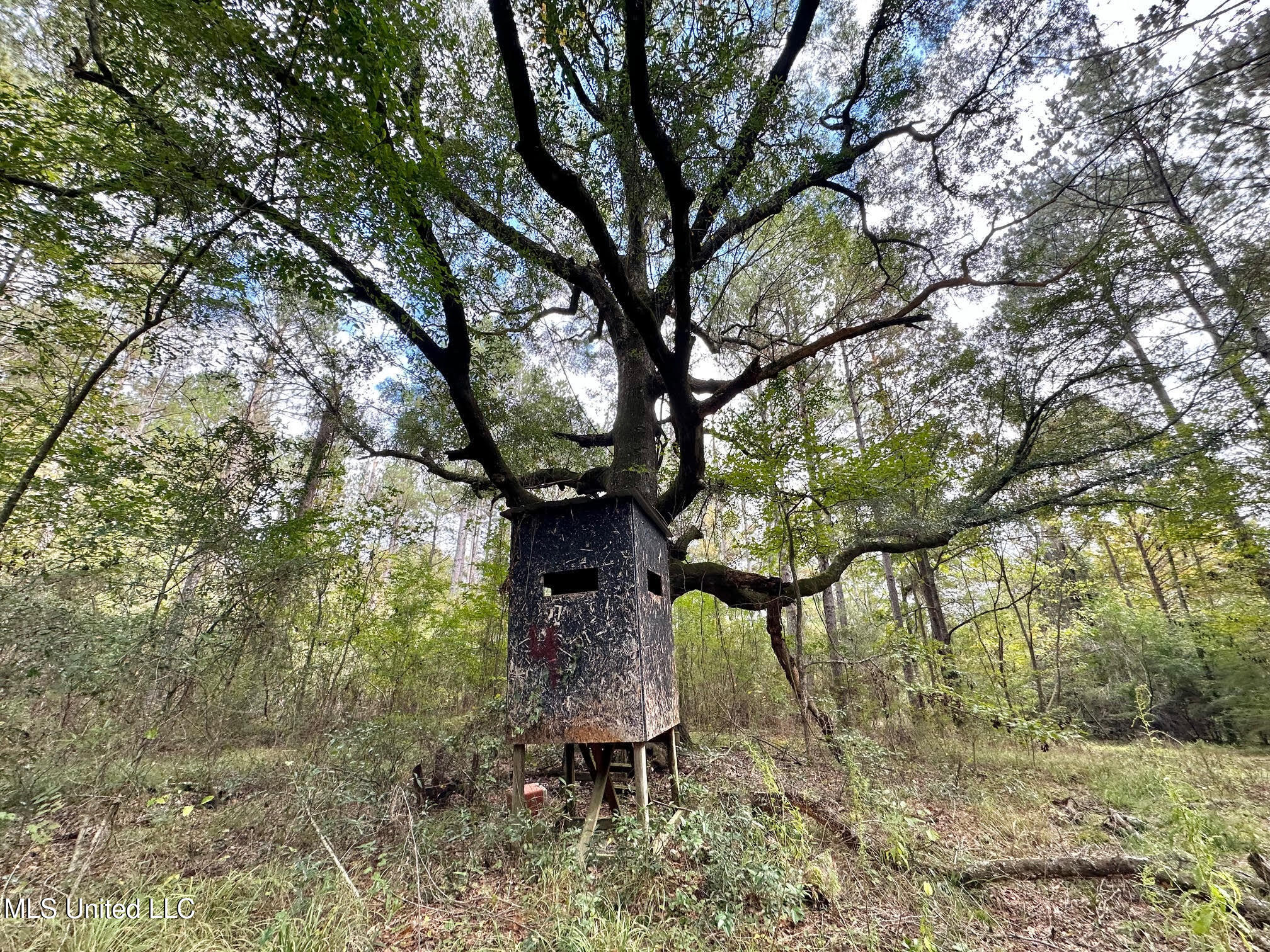 0 County Road 472 Pinola, MS 39149 - Photo 52 of 94 51