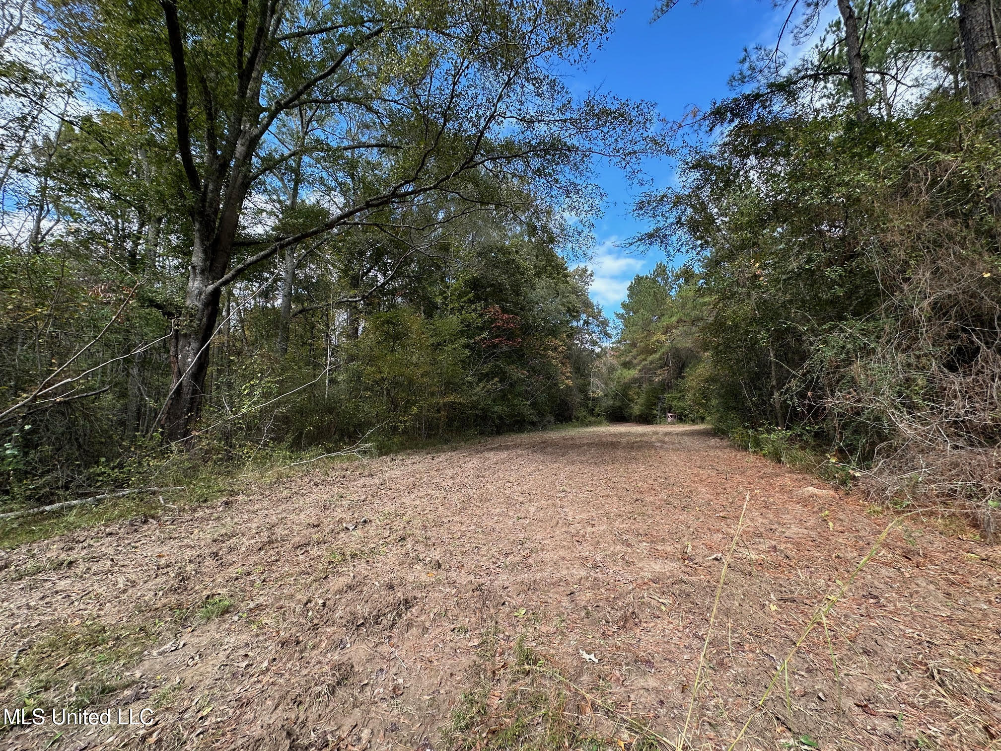 0 County Road 472 Pinola, MS 39149 - Photo 53 of 94 52