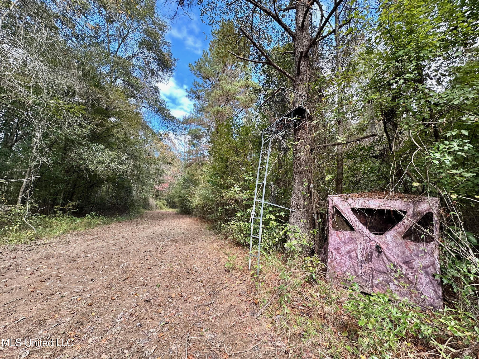 0 County Road 472 Pinola, MS 39149 - Photo 54 of 94 53