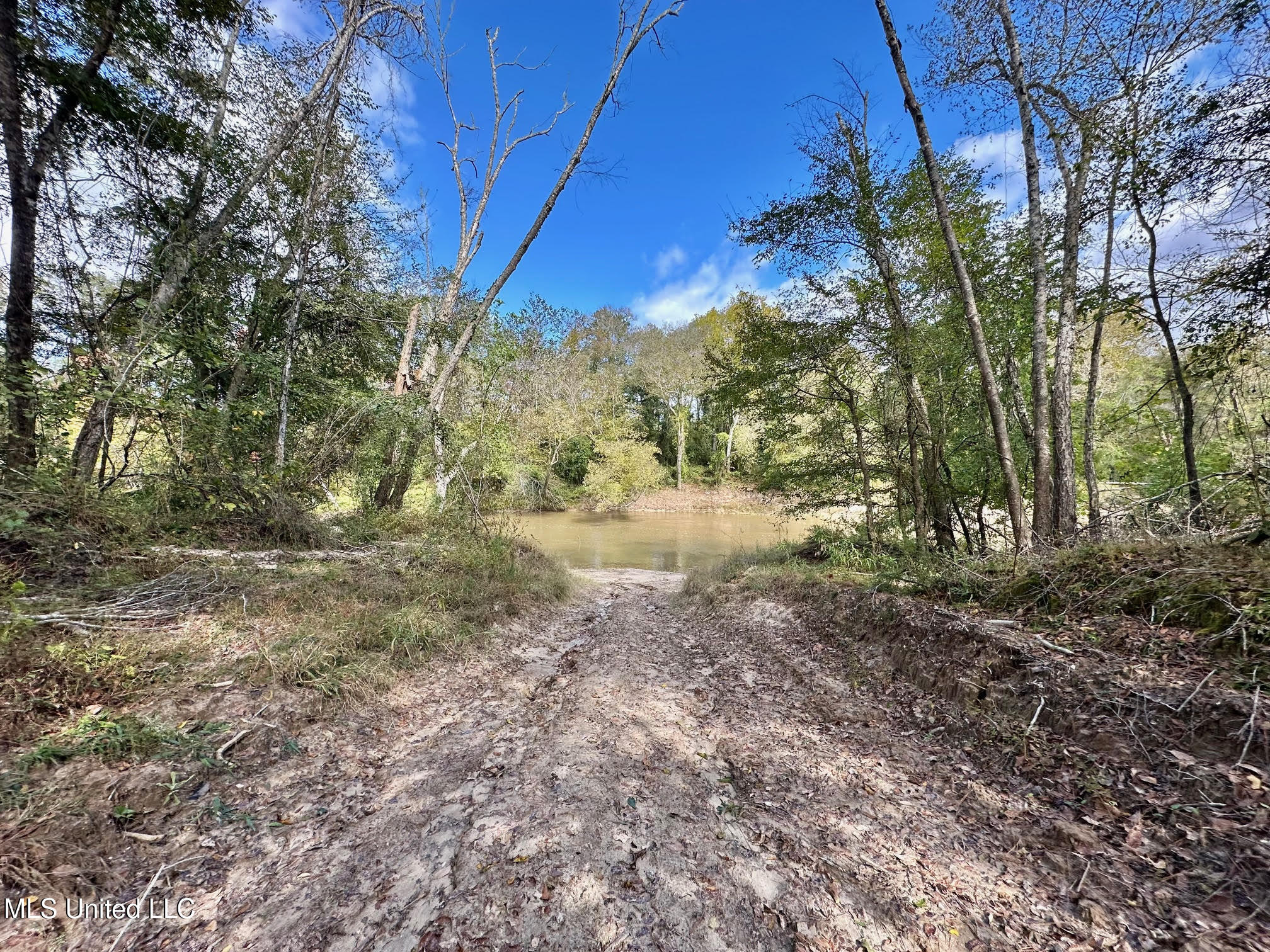 0 County Road 472 Pinola, MS 39149 - Photo 56 of 94 55