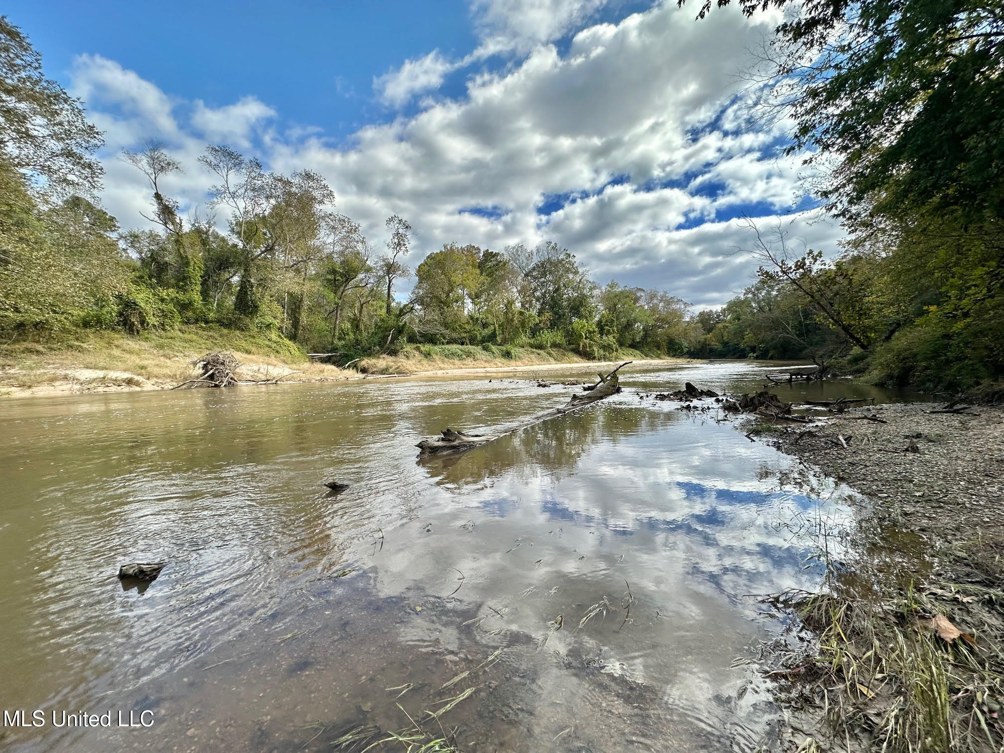 0 County Road 472 Pinola, MS 39149 - Photo 57 of 94 56