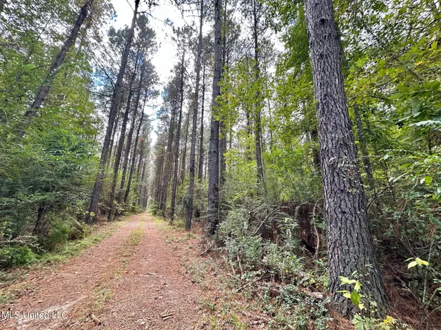 $1,501,000 | 0 County Road 472, Pinola, MS 39149