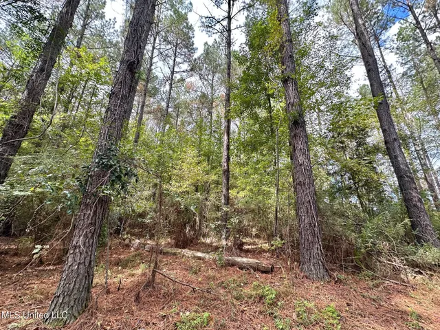$1,501,000 | 0 County Road 472, Pinola, MS 39149