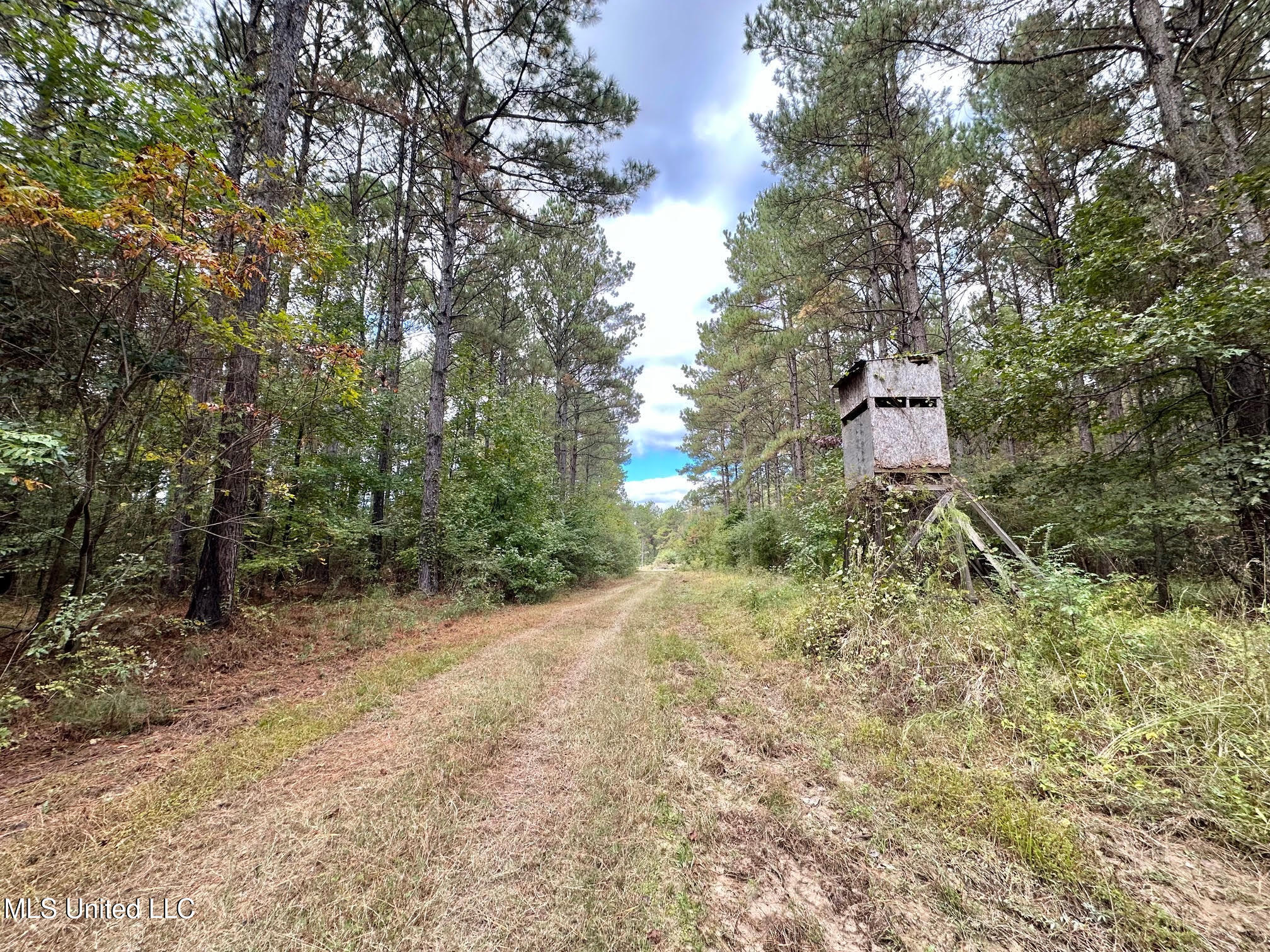 0 County Road 472 Pinola, MS 39149 - Photo 61 of 94 60