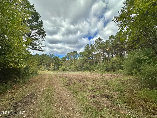 $1,501,000 | 0 County Road 472, Pinola, MS 39149