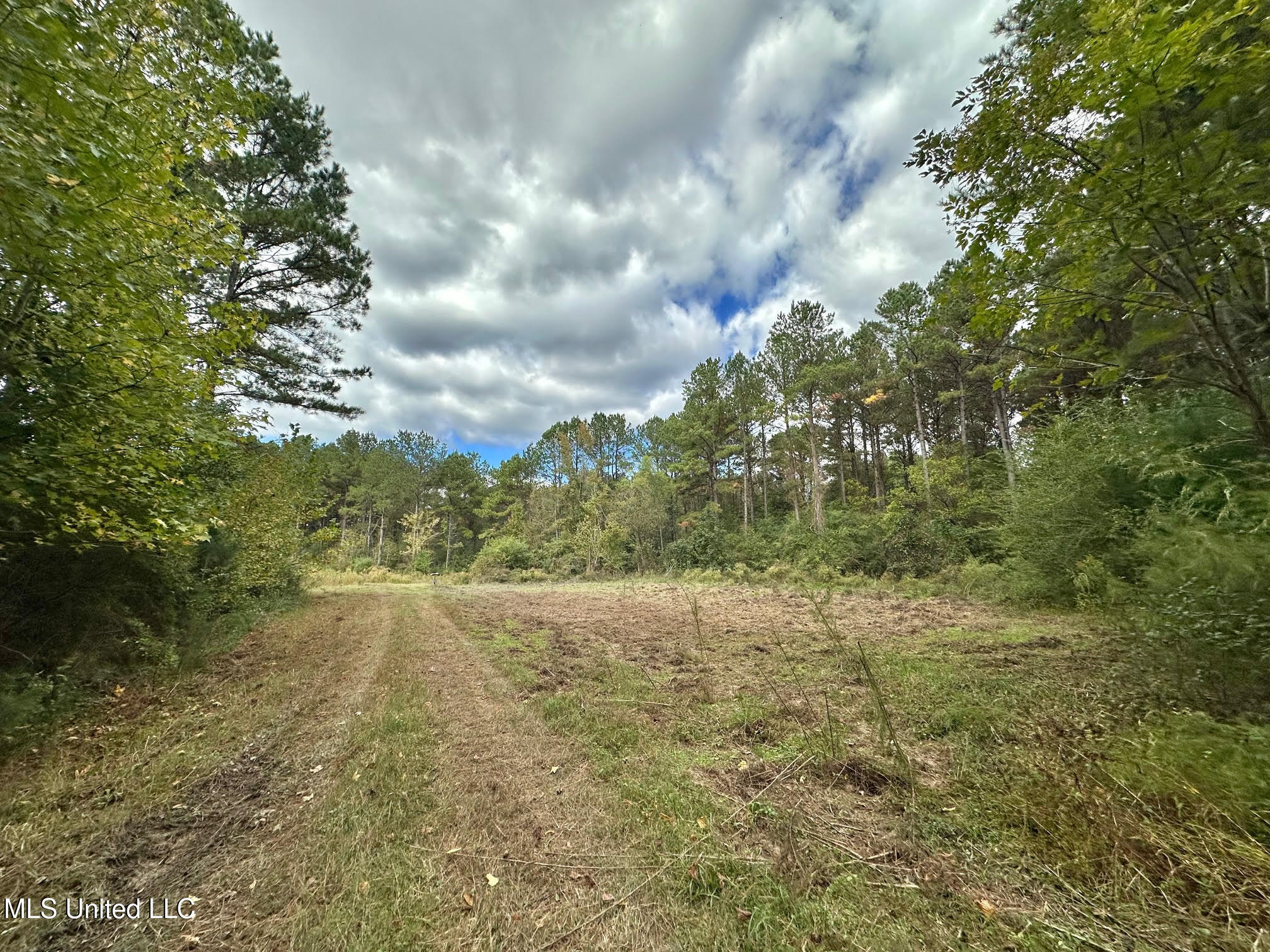 0 County Road 472 Pinola, MS 39149 - Photo 62 of 94 61