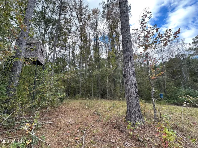 $1,501,000 | 0 County Road 472, Pinola, MS 39149
