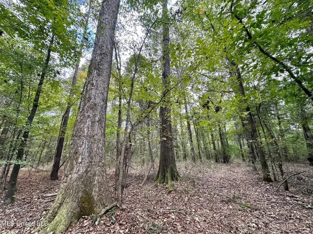 $1,501,000 | 0 County Road 472, Pinola, MS 39149