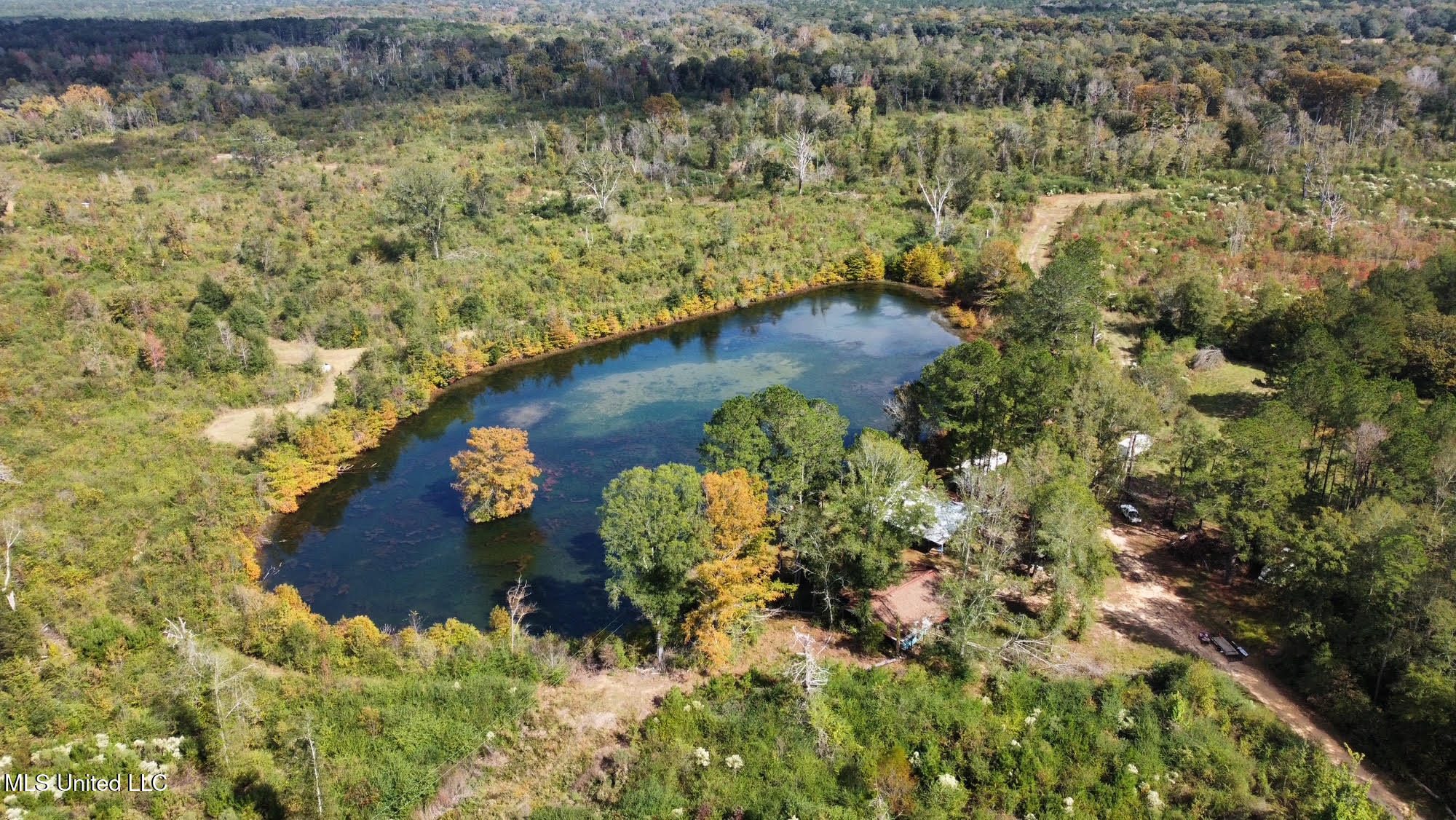 0 County Road 472 Pinola, MS 39149 - Photo 66 of 94 65