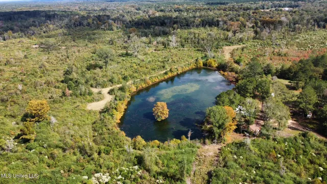 $1,501,000 | 0 County Road 472, Pinola, MS 39149