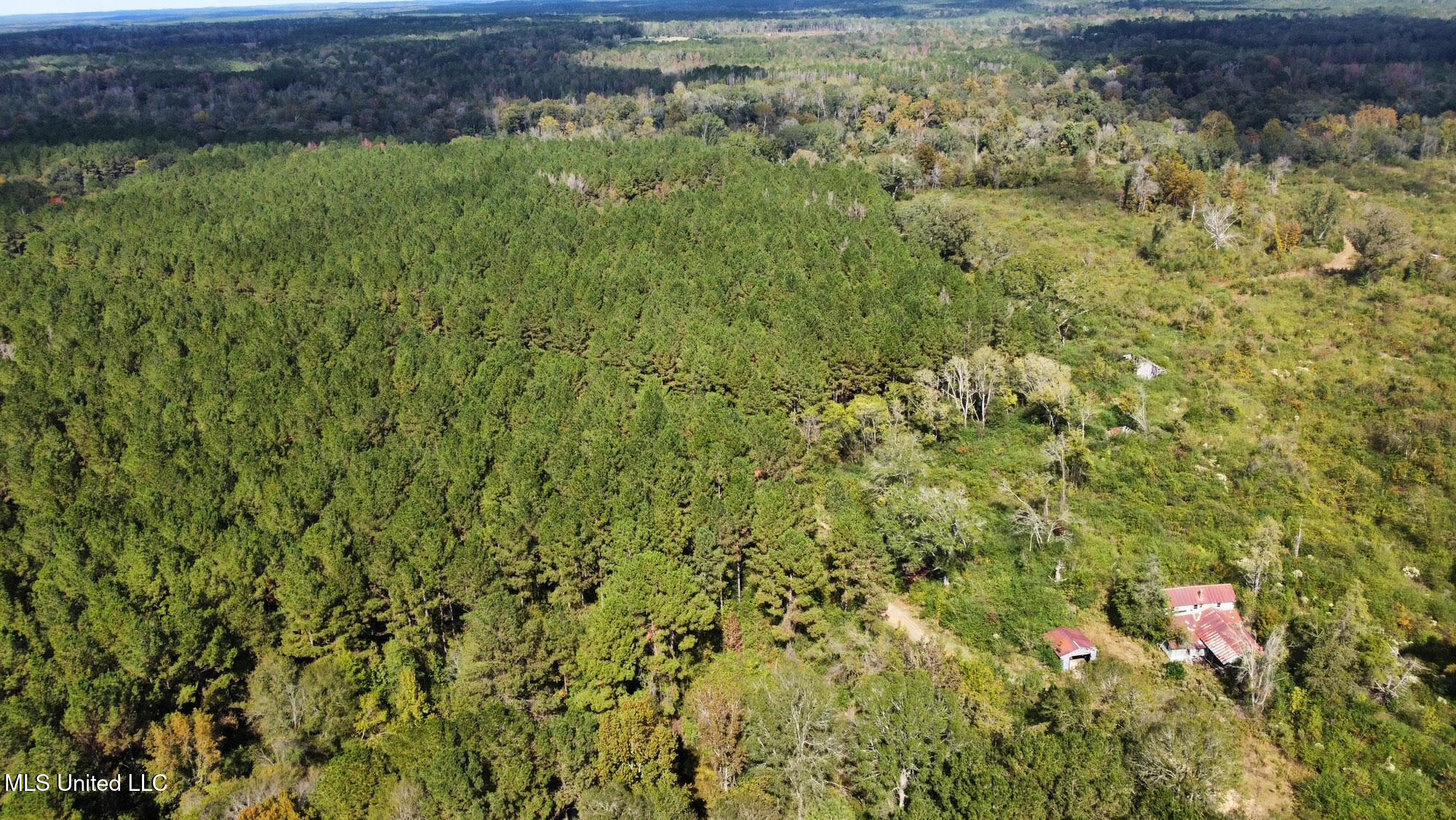 0 County Road 472 Pinola, MS 39149 - Photo 68 of 94 67