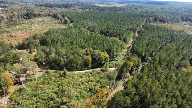 $1,501,000 | 0 County Road 472, Pinola, MS 39149