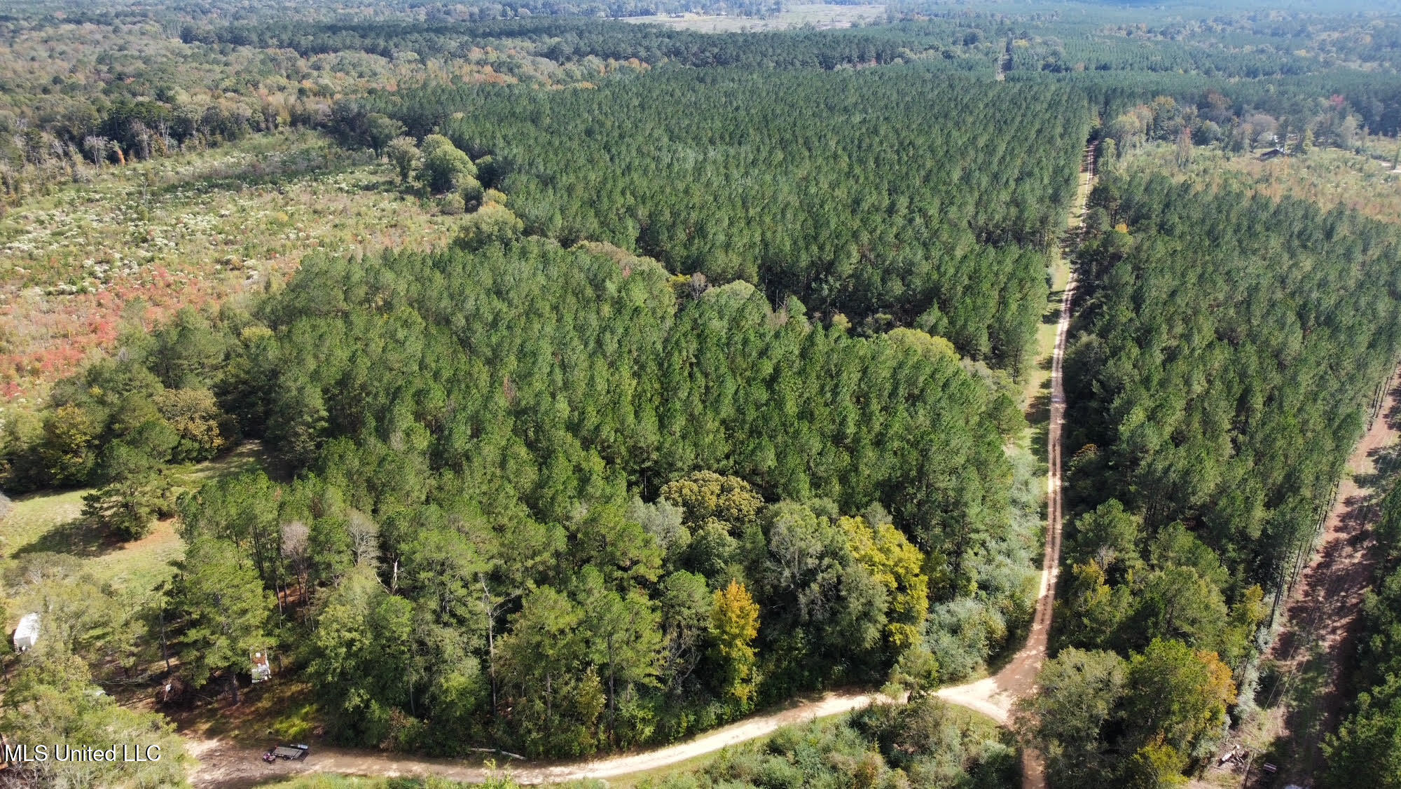 0 County Road 472 Pinola, MS 39149 - Photo 70 of 94 69