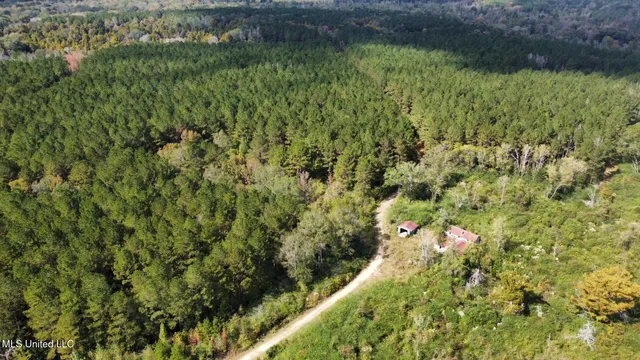 $1,501,000 | 0 County Road 472, Pinola, MS 39149