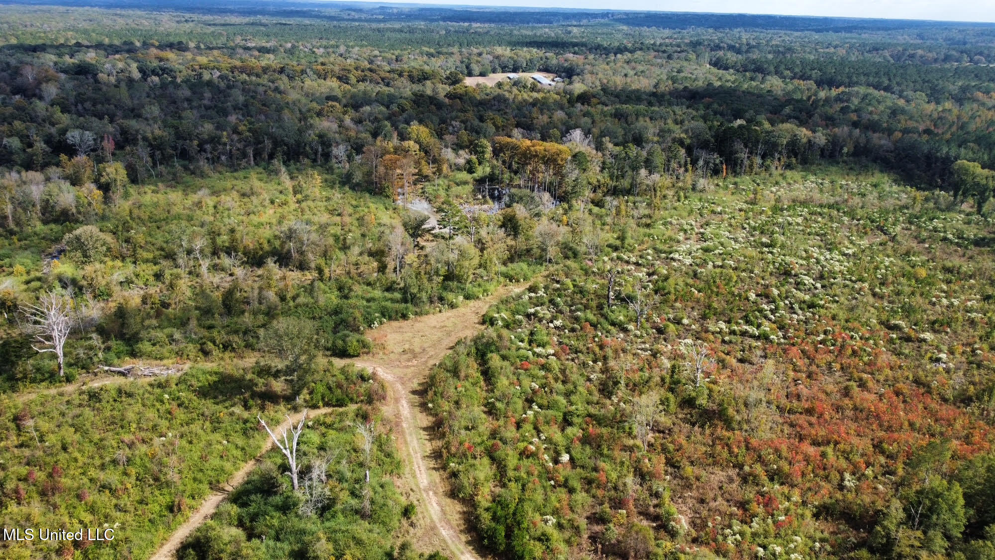 0 County Road 472 Pinola, MS 39149 - Photo 72 of 94 71