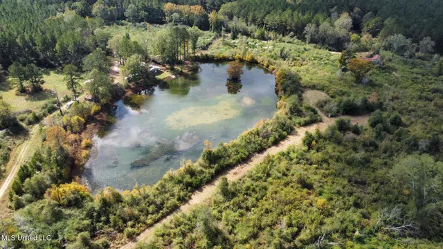 $1,501,000 | 0 County Road 472, Pinola, MS 39149