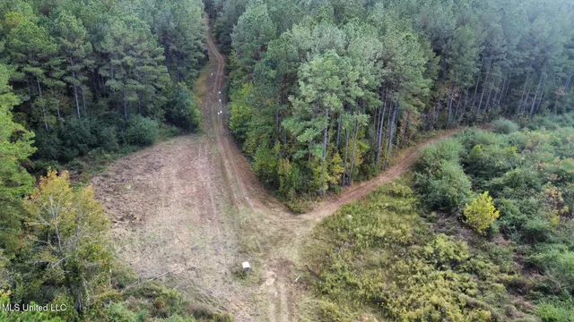 $1,501,000 | 0 County Road 472, Pinola, MS 39149