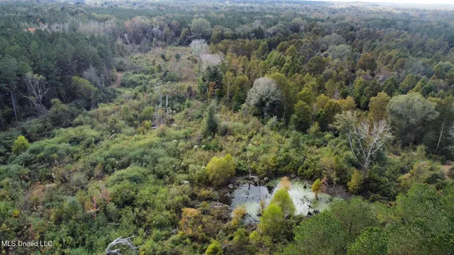 $1,501,000 | 0 County Road 472, Pinola, MS 39149