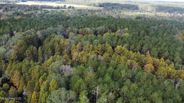 $1,501,000 | 0 County Road 472, Pinola, MS 39149