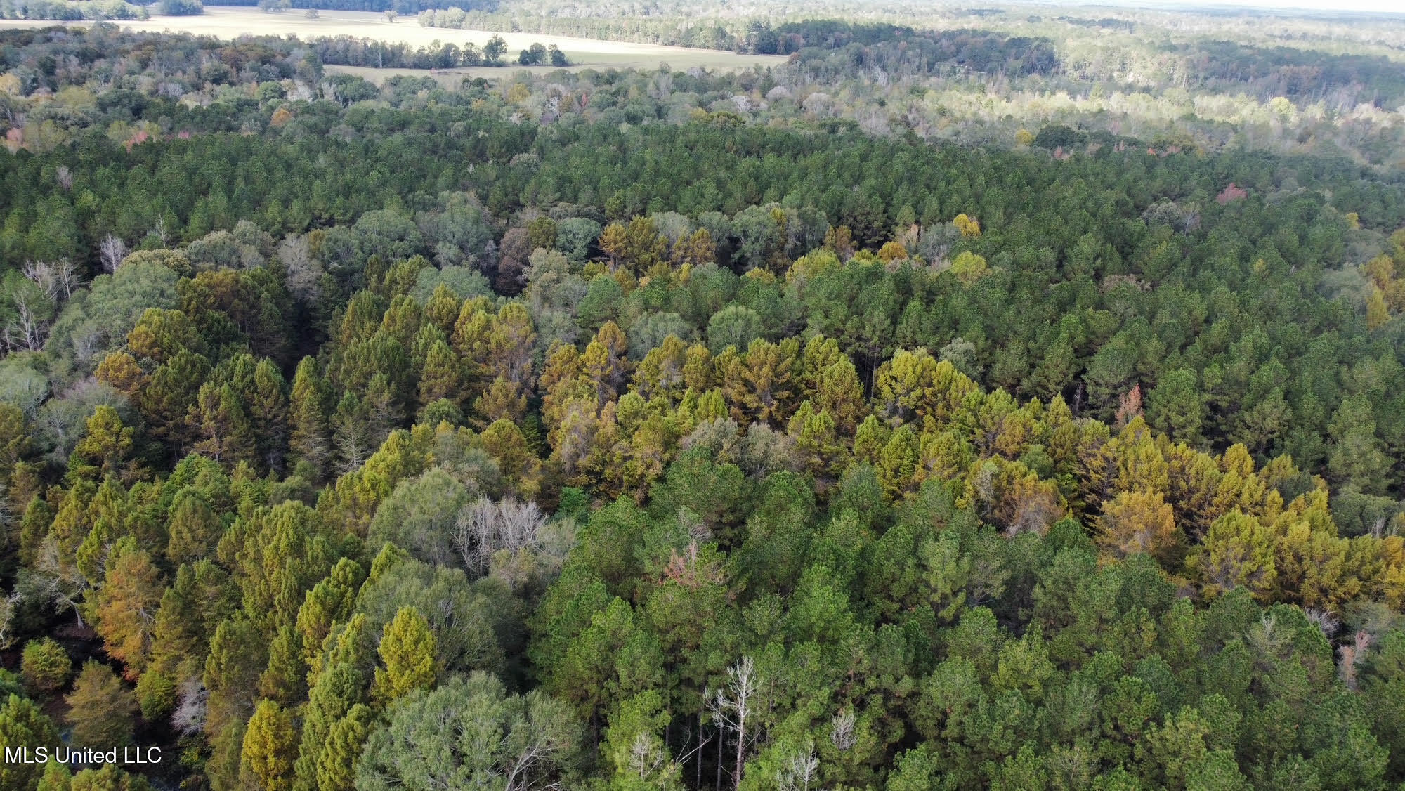 0 County Road 472 Pinola, MS 39149 - Photo 77 of 94 76
