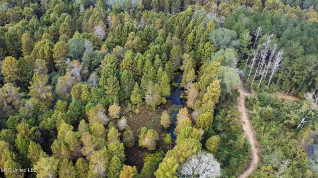 $1,501,000 | 0 County Road 472, Pinola, MS 39149
