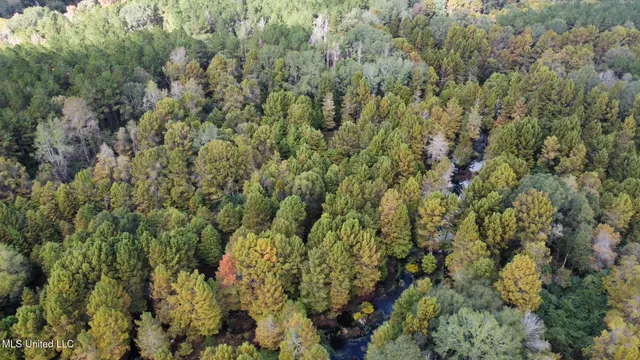 $1,501,000 | 0 County Road 472, Pinola, MS 39149