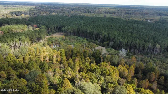 $1,501,000 | 0 County Road 472, Pinola, MS 39149