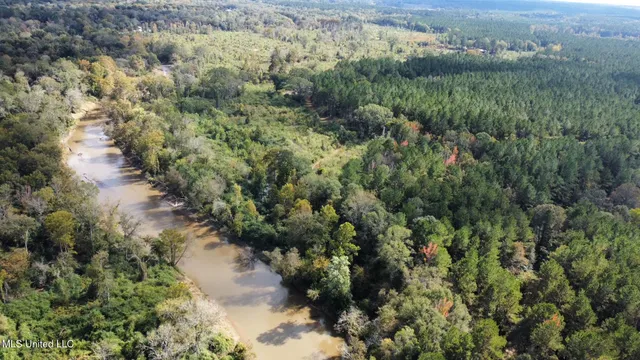 $1,501,000 | 0 County Road 472, Pinola, MS 39149