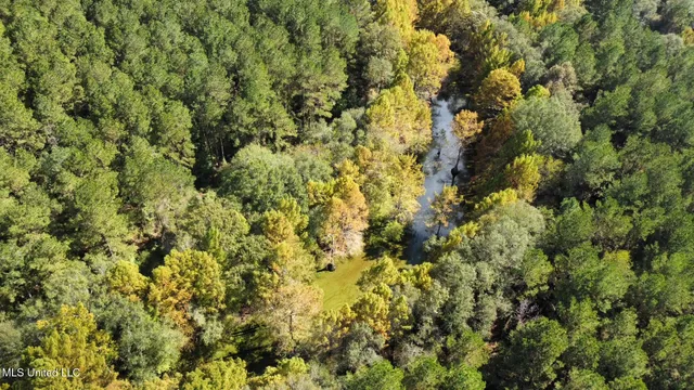 $1,501,000 | 0 County Road 472, Pinola, MS 39149