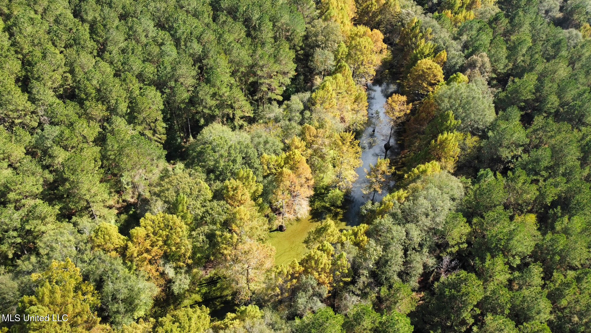 0 County Road 472 Pinola, MS 39149 - Photo 83 of 94 82