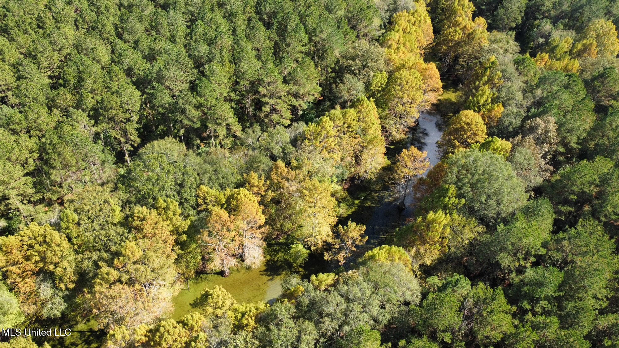 0 County Road 472 Pinola, MS 39149 - Photo 84 of 94 83
