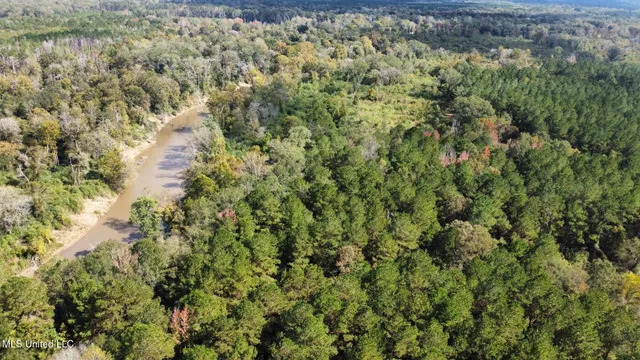 $1,501,000 | 0 County Road 472, Pinola, MS 39149