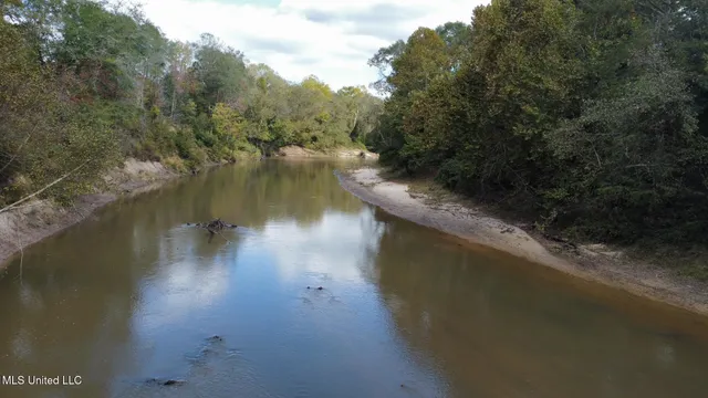 $1,501,000 | 0 County Road 472, Pinola, MS 39149