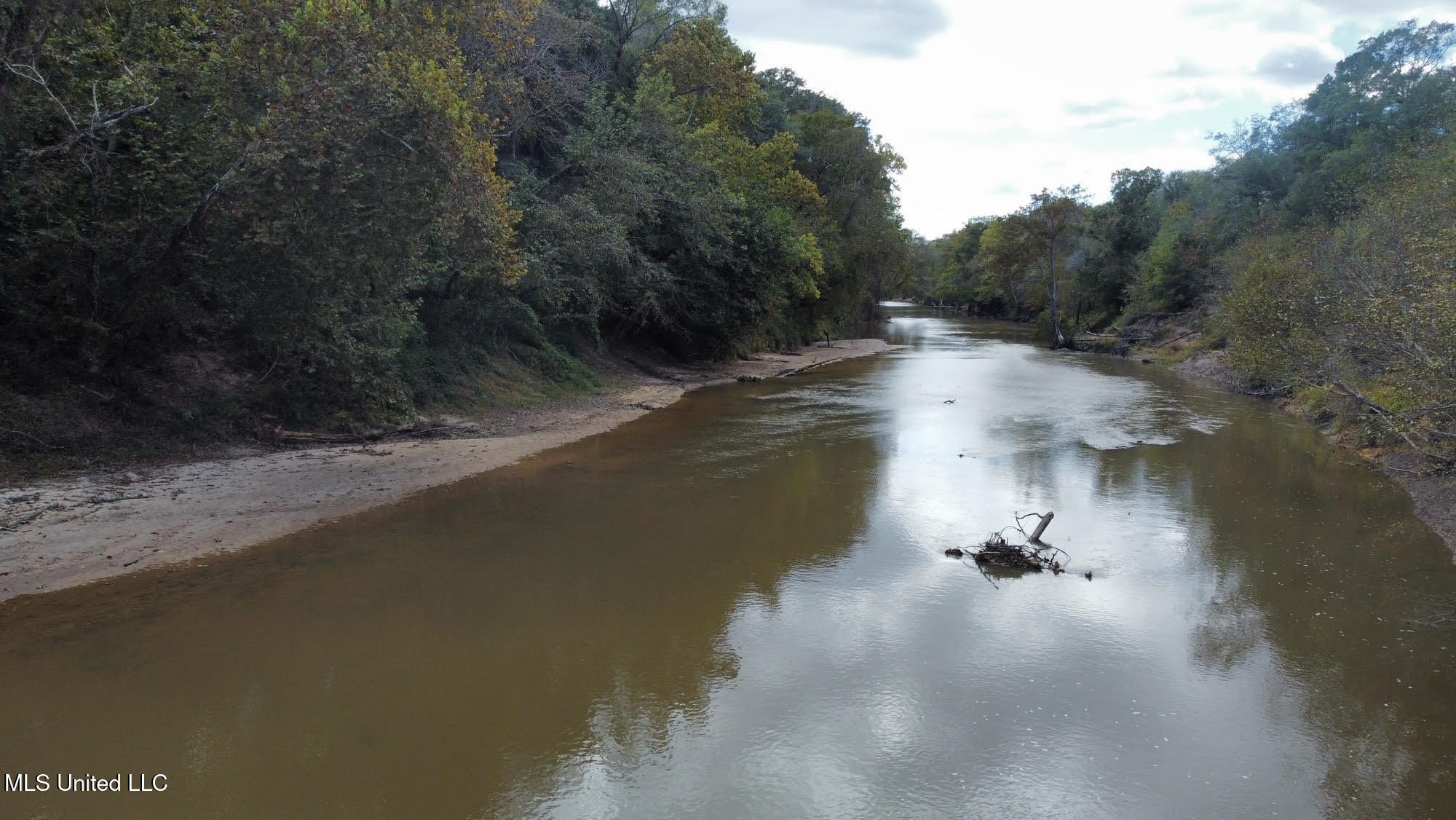 0 County Road 472 Pinola, MS 39149 - Photo 89 of 94 88