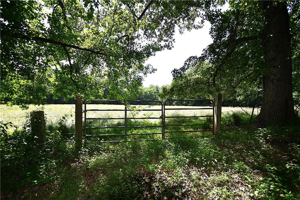 400 Kelley Road Tallapoosa, GA 30176 - Photo 38 of 52 a view of backyard with large trees