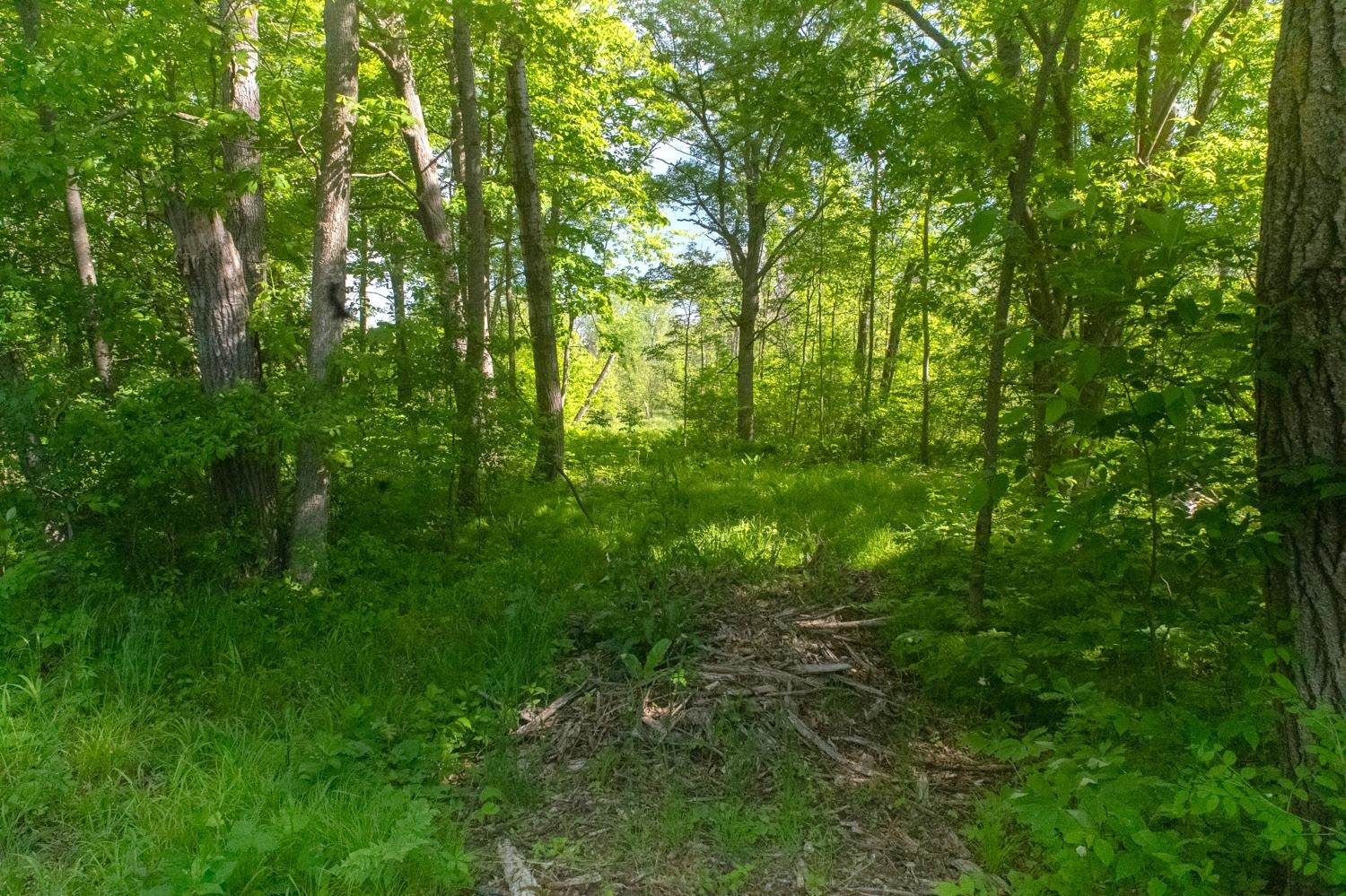 Chicago Road Redgranite, WI 54970 - Photo 11 of 37
