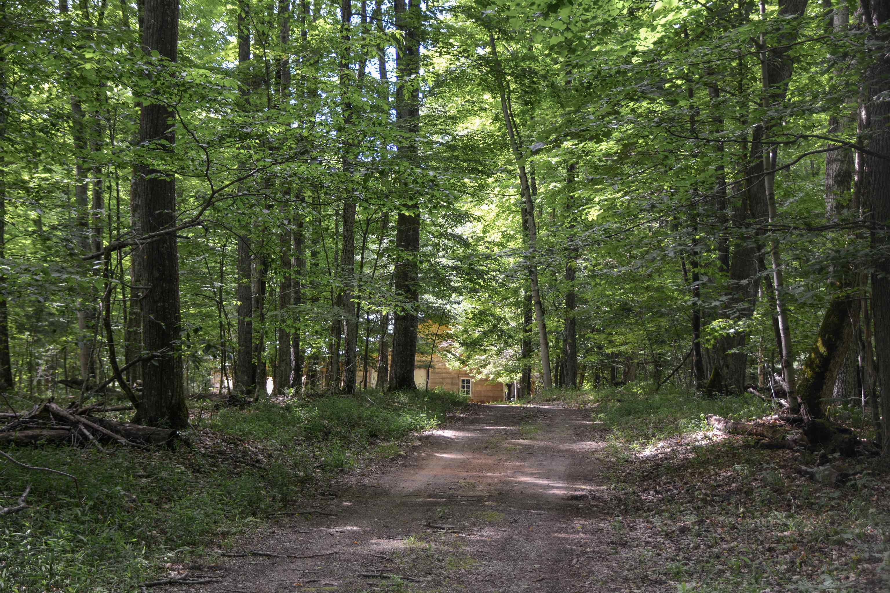 16568 Wagner Road Lake Ann, MI 49650 - Photo 35 of 79 1947392-3436992a-2662-486e-9c3b-ca0f5e7d2be5.JPG