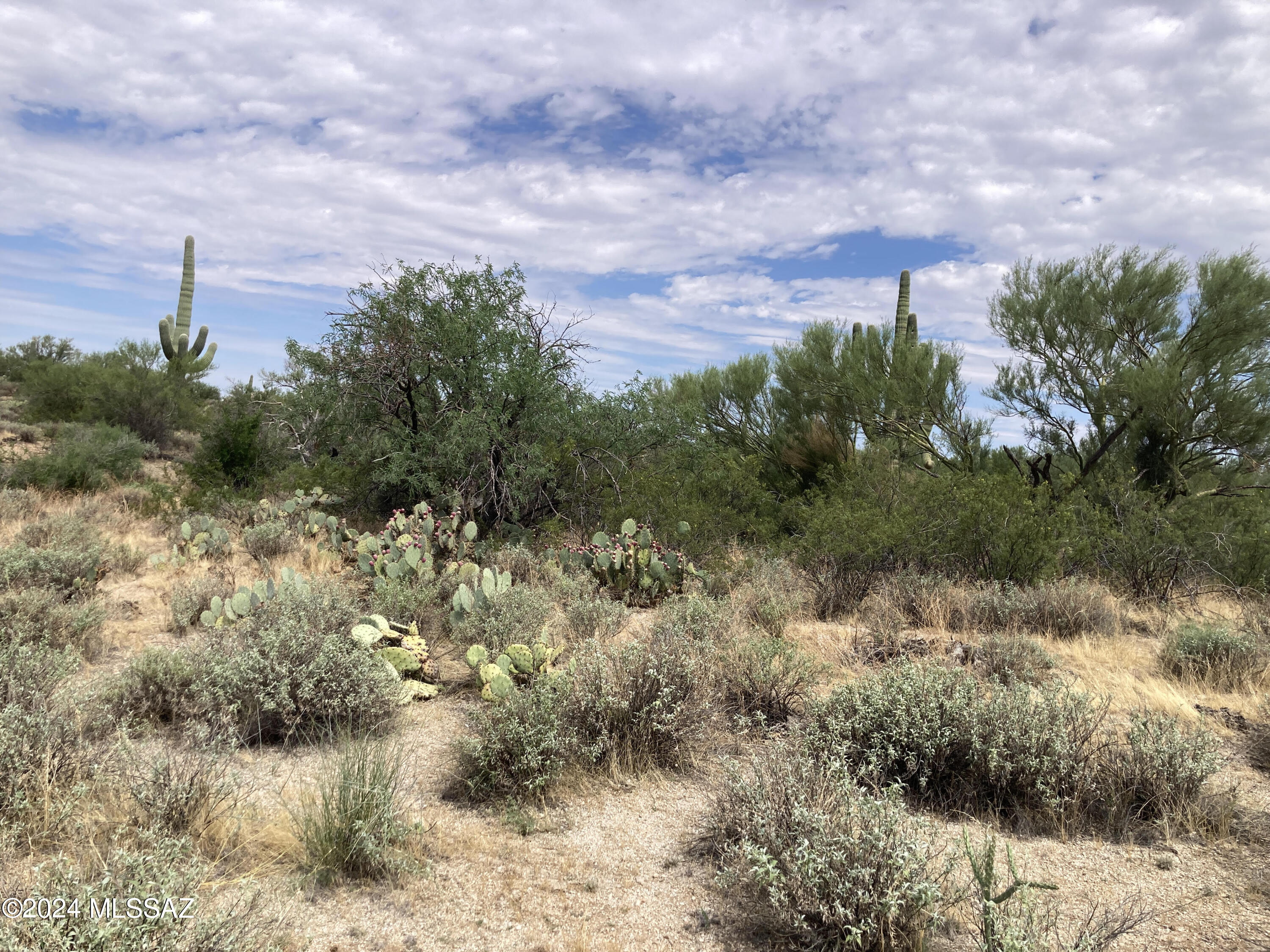 0 South Undetermin D Road Marana, AZ 85658 - Photo 2 of 7 Gallery Image 2