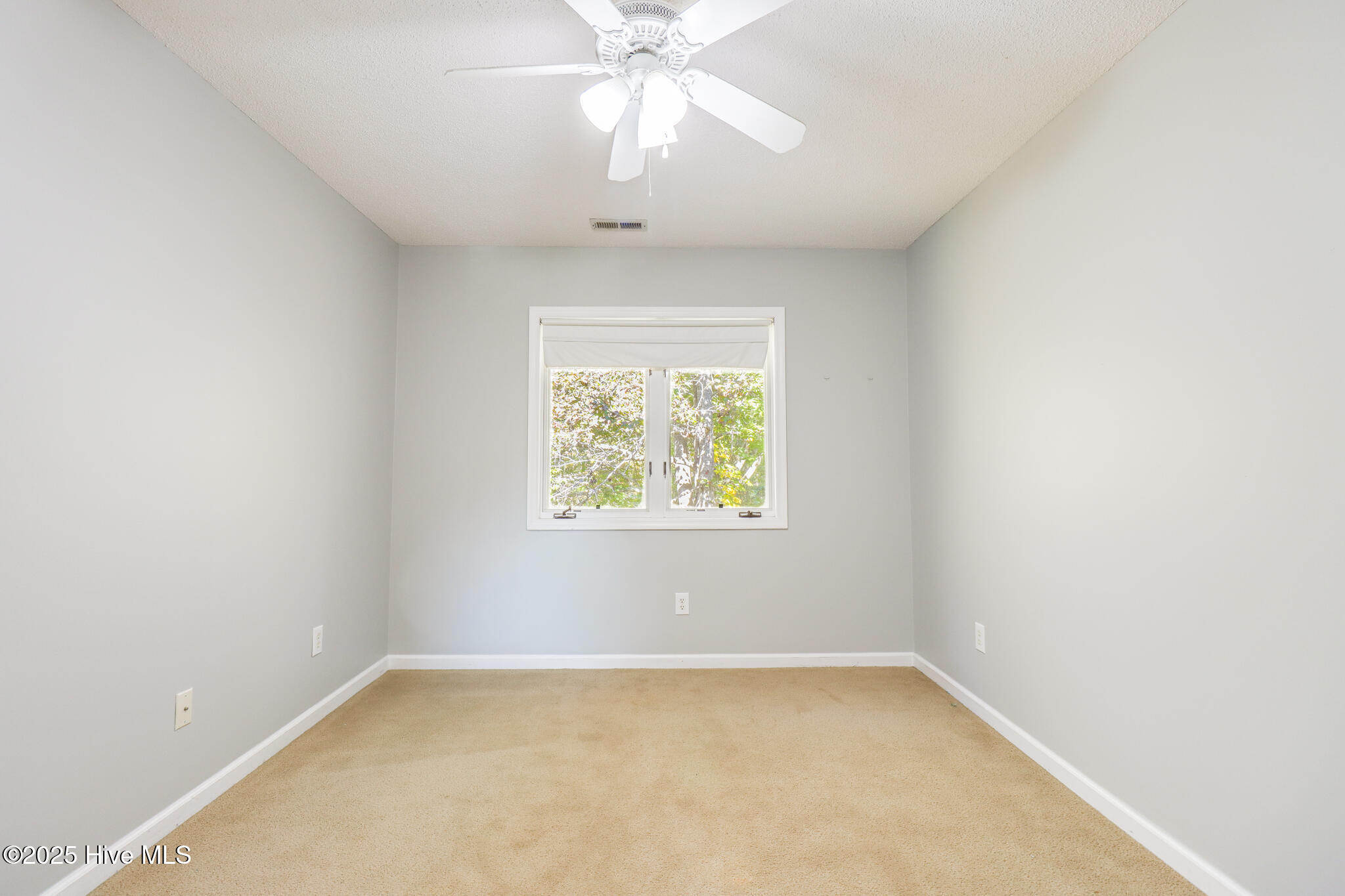 105 Willbarry Road Jacksonville, NC 28540 - Photo 14 of 23 105 Willbarry Rd Print-31