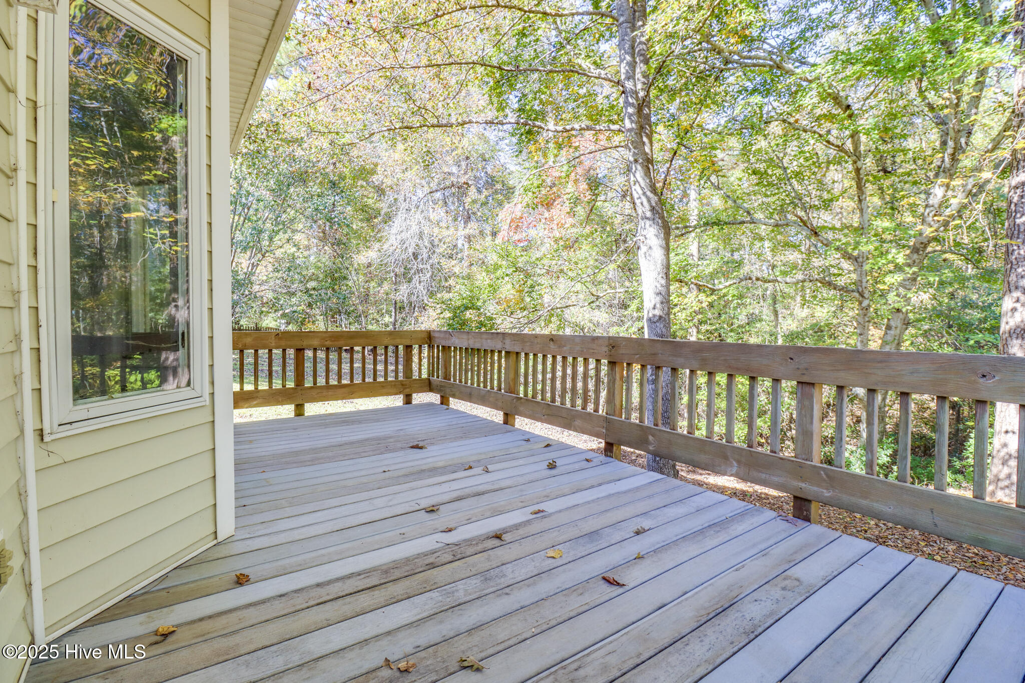 105 Willbarry Road Jacksonville, NC 28540 - Photo 21 of 23 105 Willbarry Rd Print-47