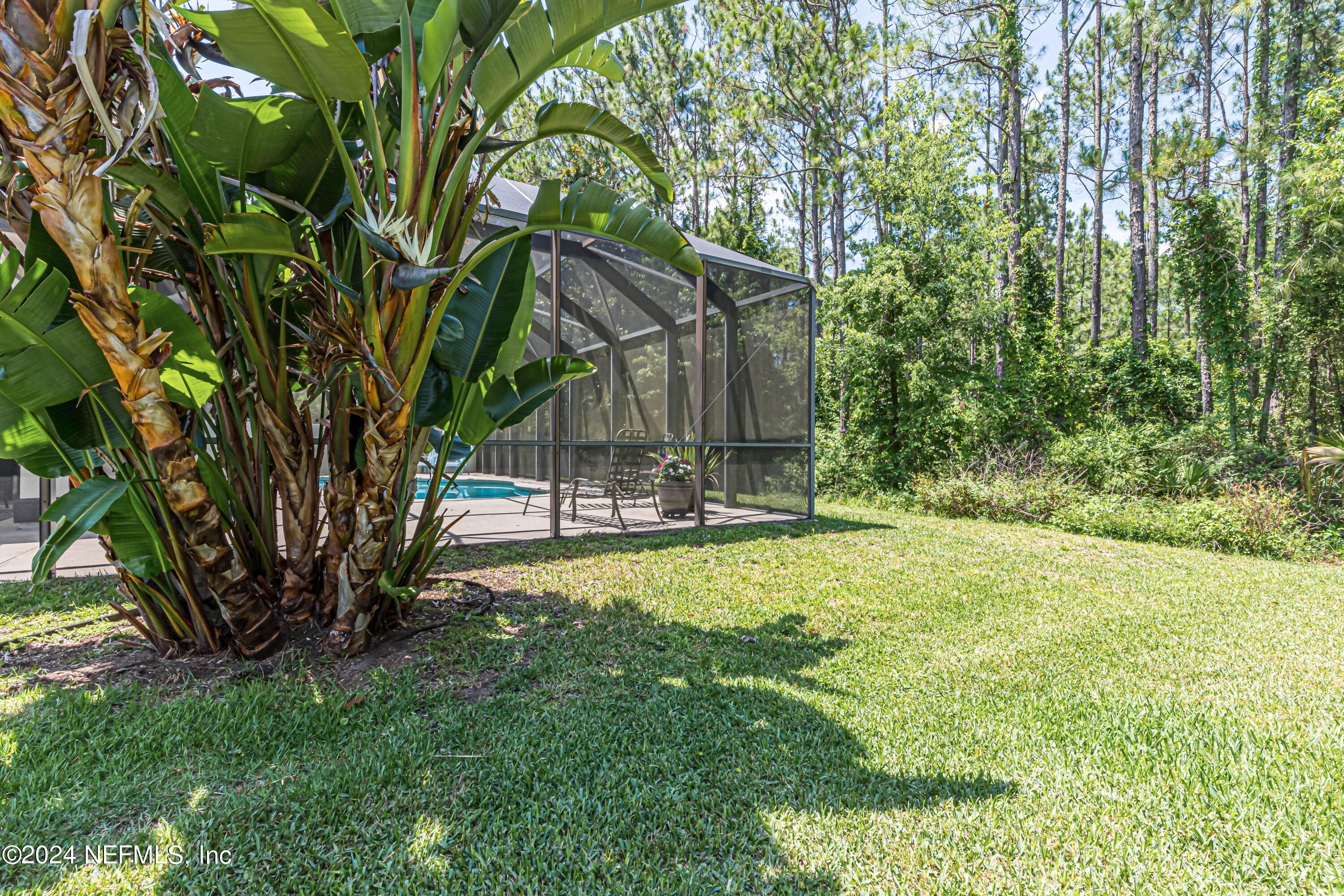 153 Puritan Road Ponte Vedra, FL 32081 - Photo 47 of 89 Backyard