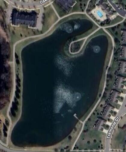 57259 Windmill Pointe New Hudson, MI 48165 - Photo 49 of 53 Picture of walking path