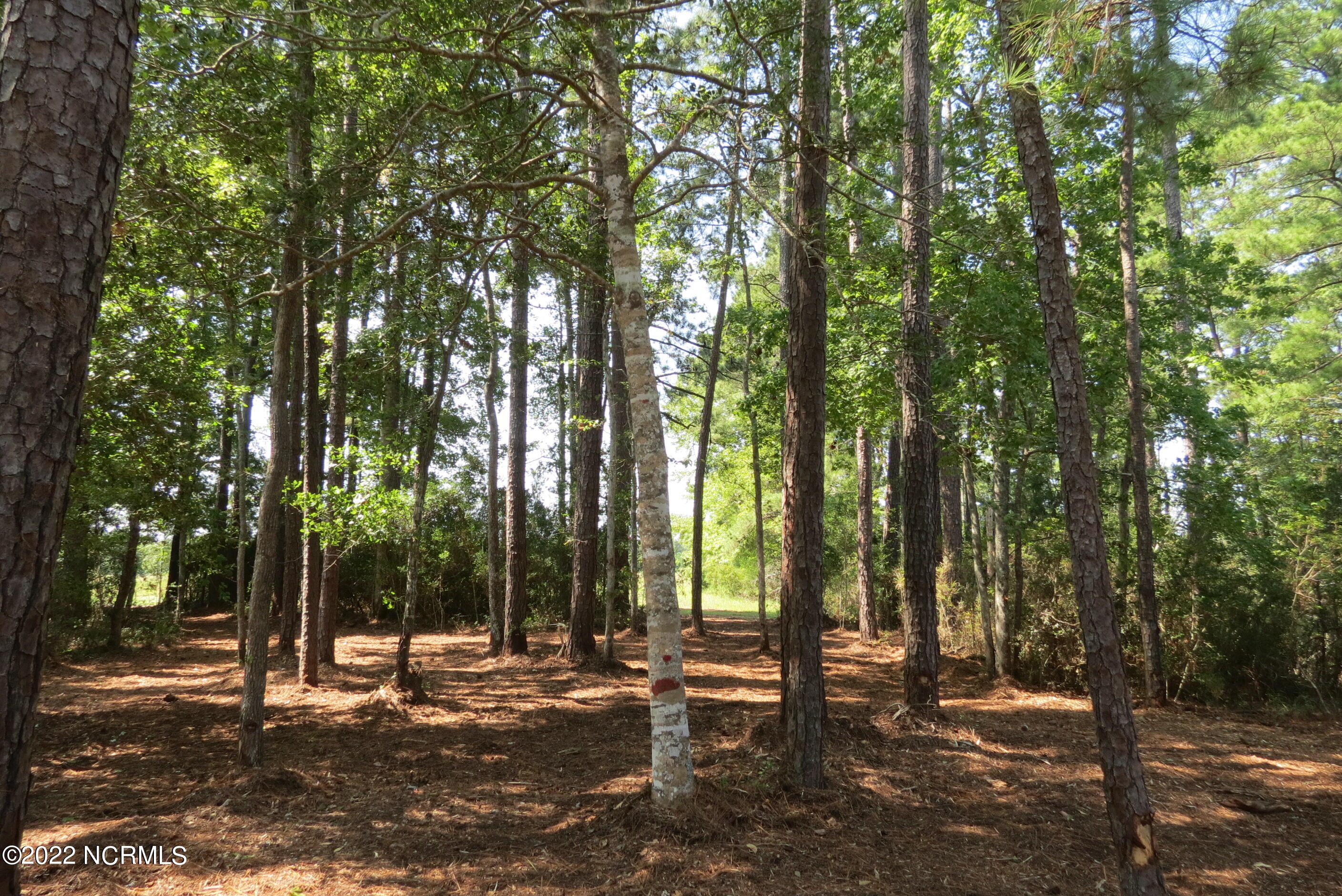 0 Quail Road Merritt, NC 28556 - Photo 37 of 44 IMG_7113