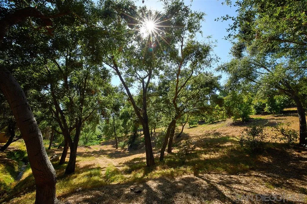 2255 Country Road Fallbrook, CA 92028 - Photo 18 of 24 a view of a yard with a tree