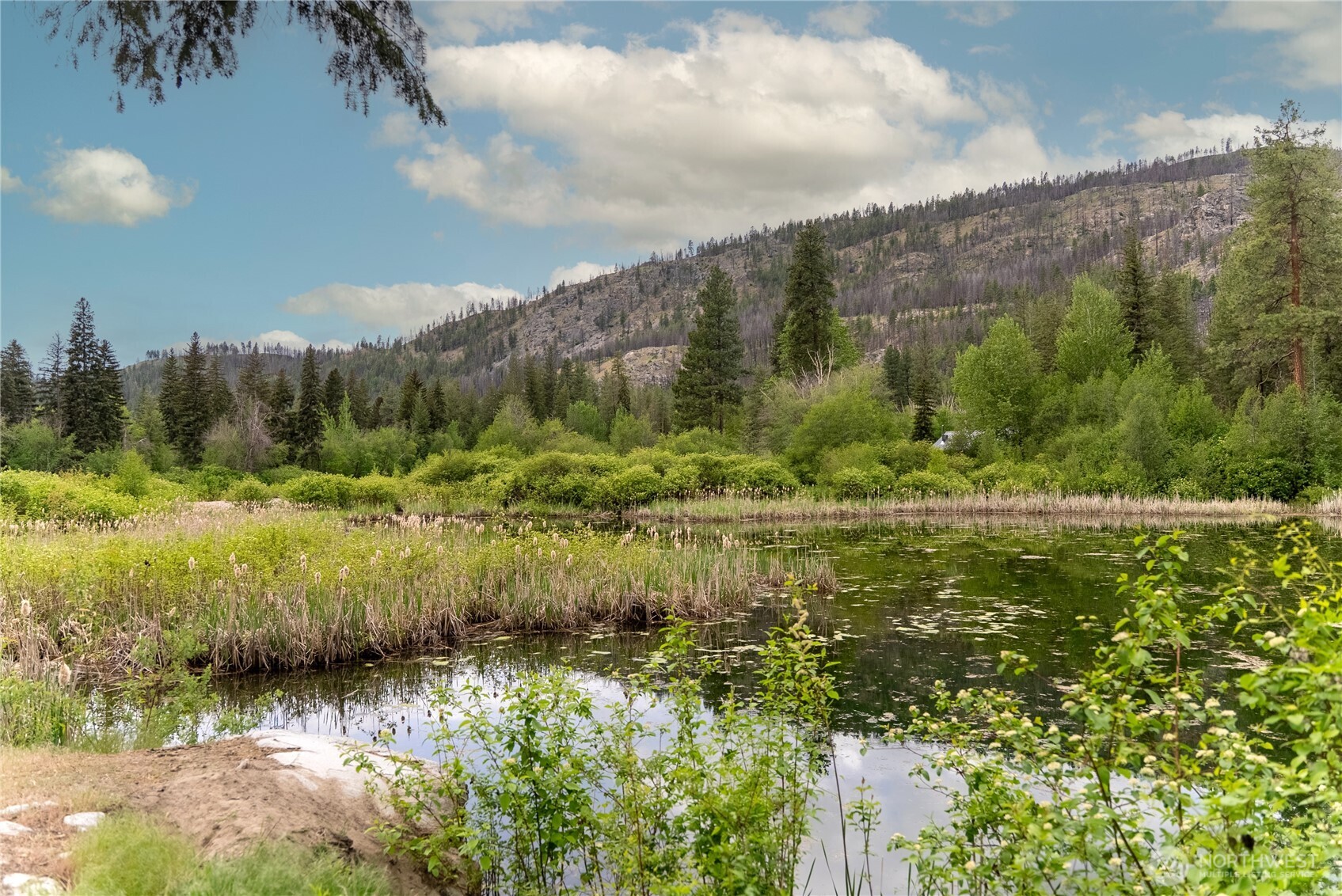 69 Fs 5010 Road Winthrop, WA 98862 - Photo 4 of 38