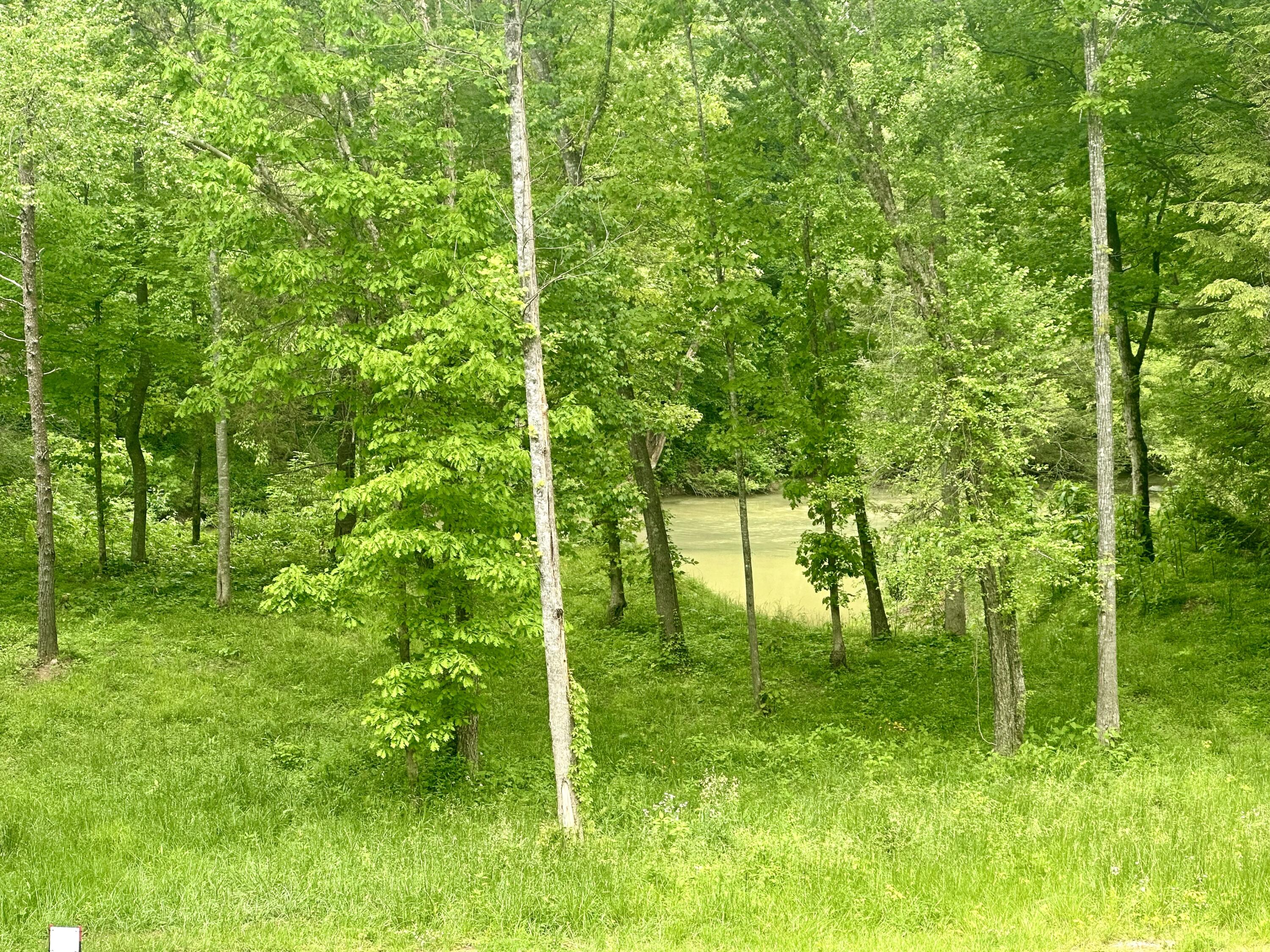 1815 Baldwin Road McKee, KY 40447 - Photo 53 of 68 IMG_0402