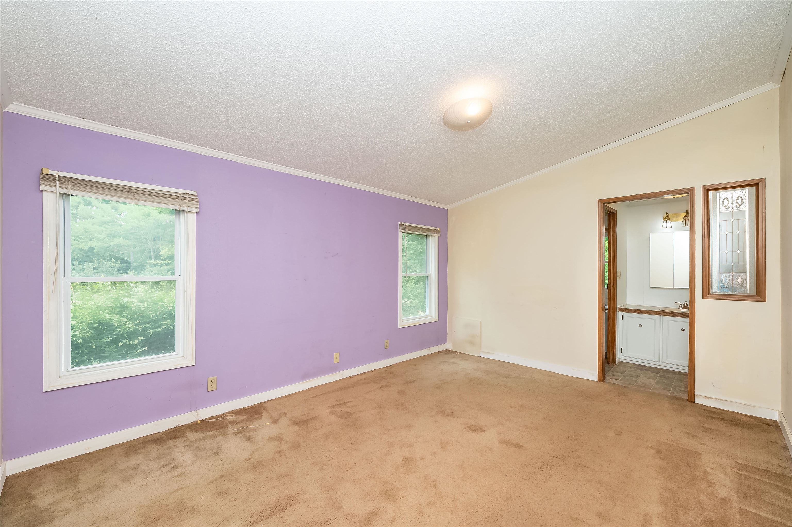 103 Lily Pond Road Alton, NH 03809 - Photo 20 of 41