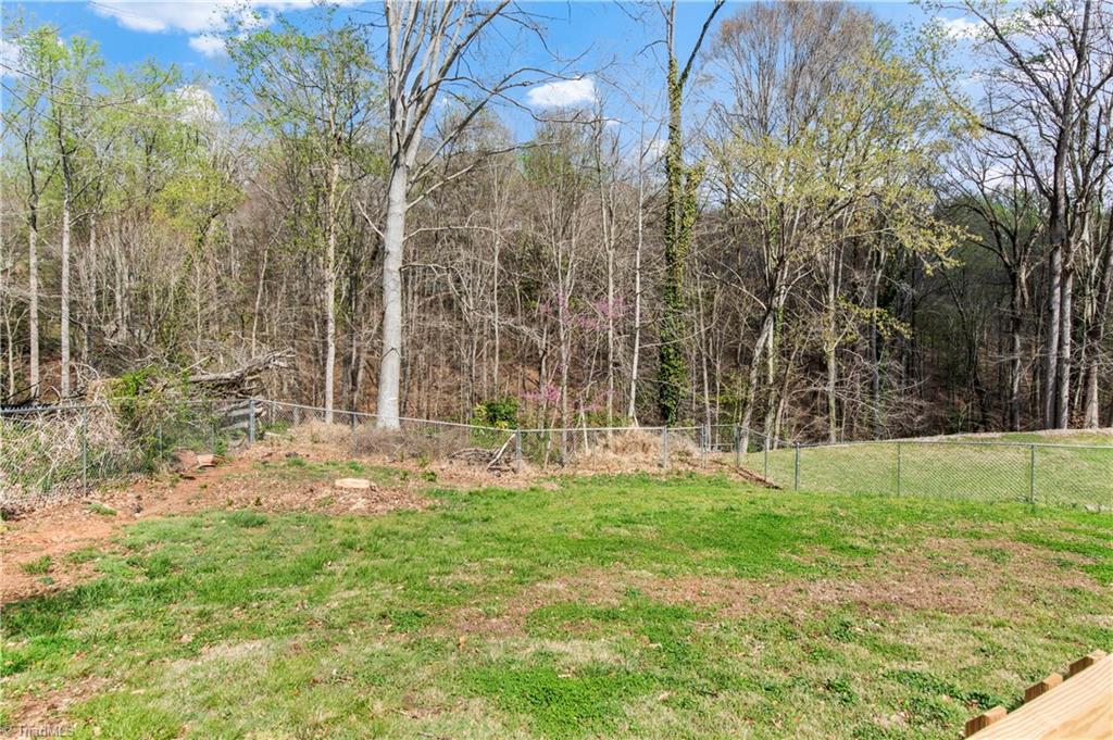 239 Harris Avenue Elkin, NC 28621 - Photo 24 of 26 Gallery Image 24